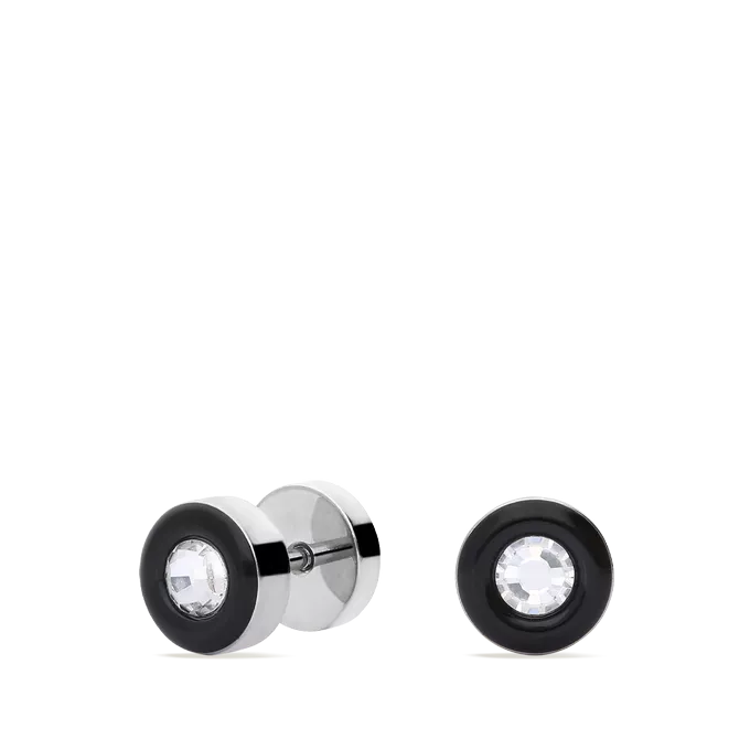 Stainless steel earrings