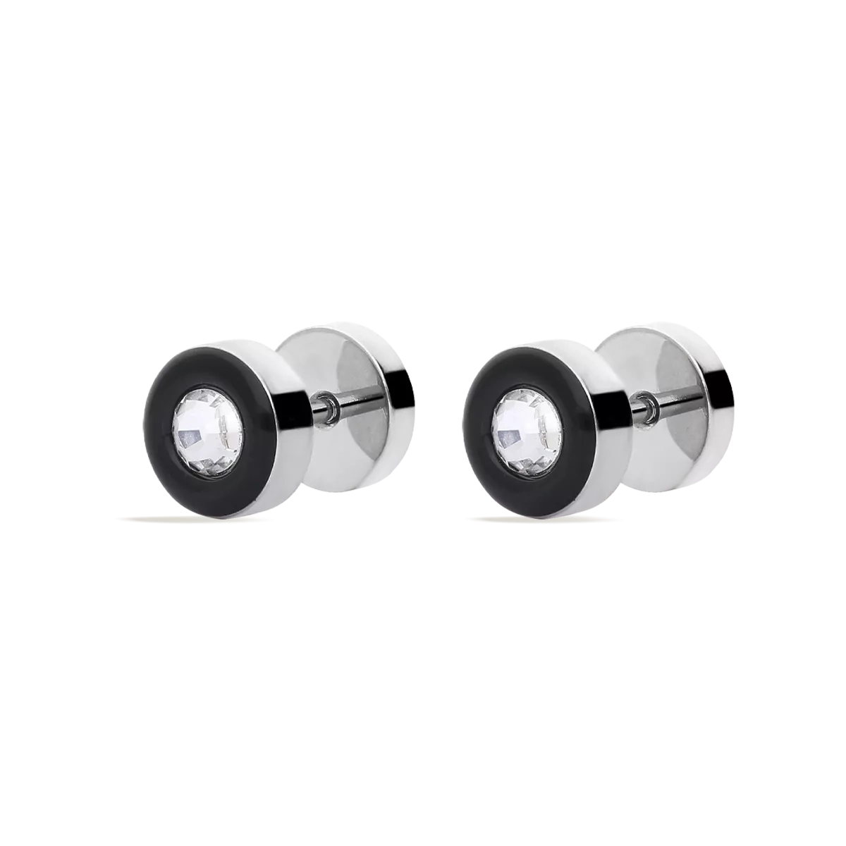 Stainless steel earrings