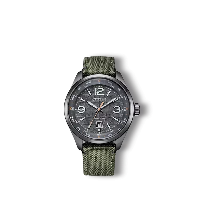 Reloj Citizen Pilot traveler