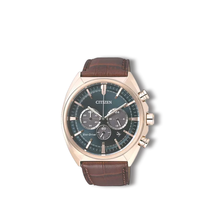 Citizen men's watch