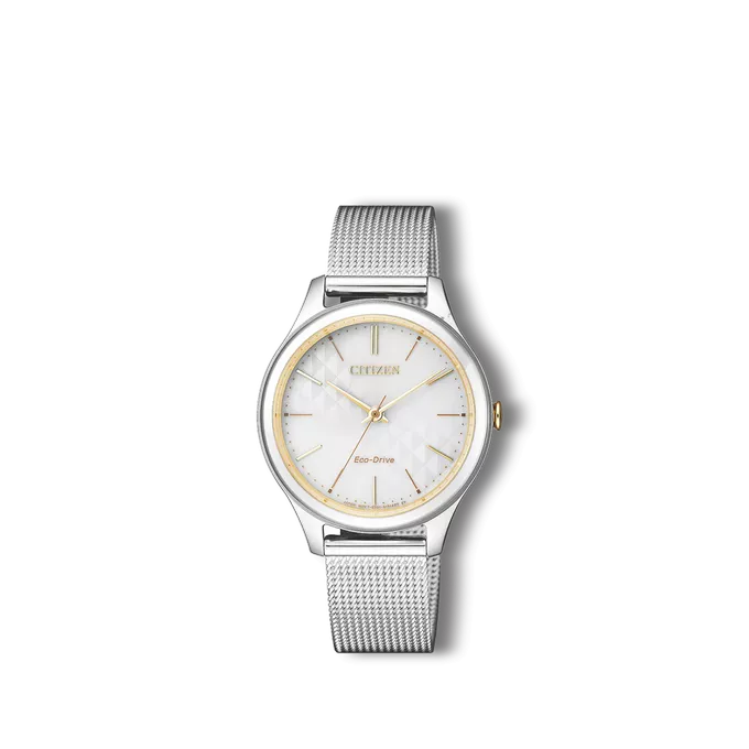 Men's Citizen watch